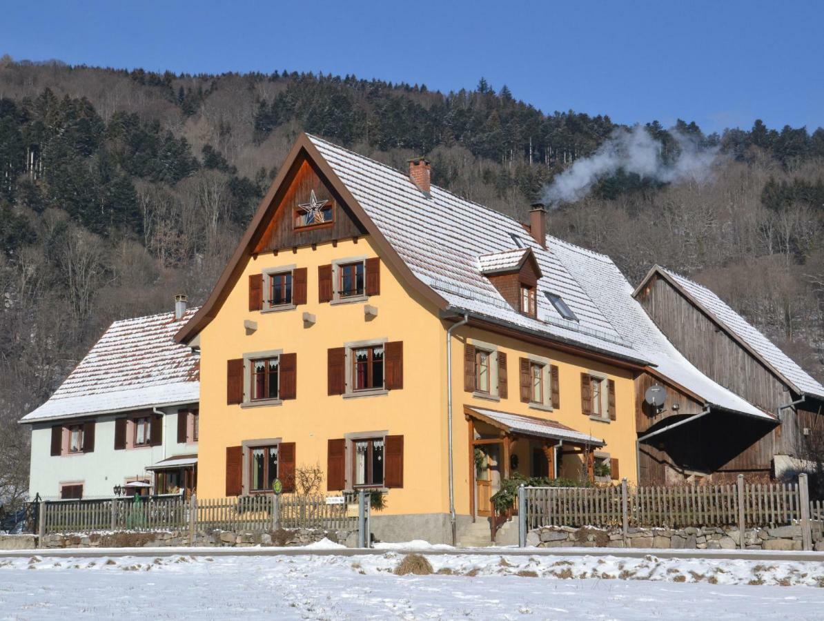 Gite Du Grand Pre Metzeral Luaran gambar